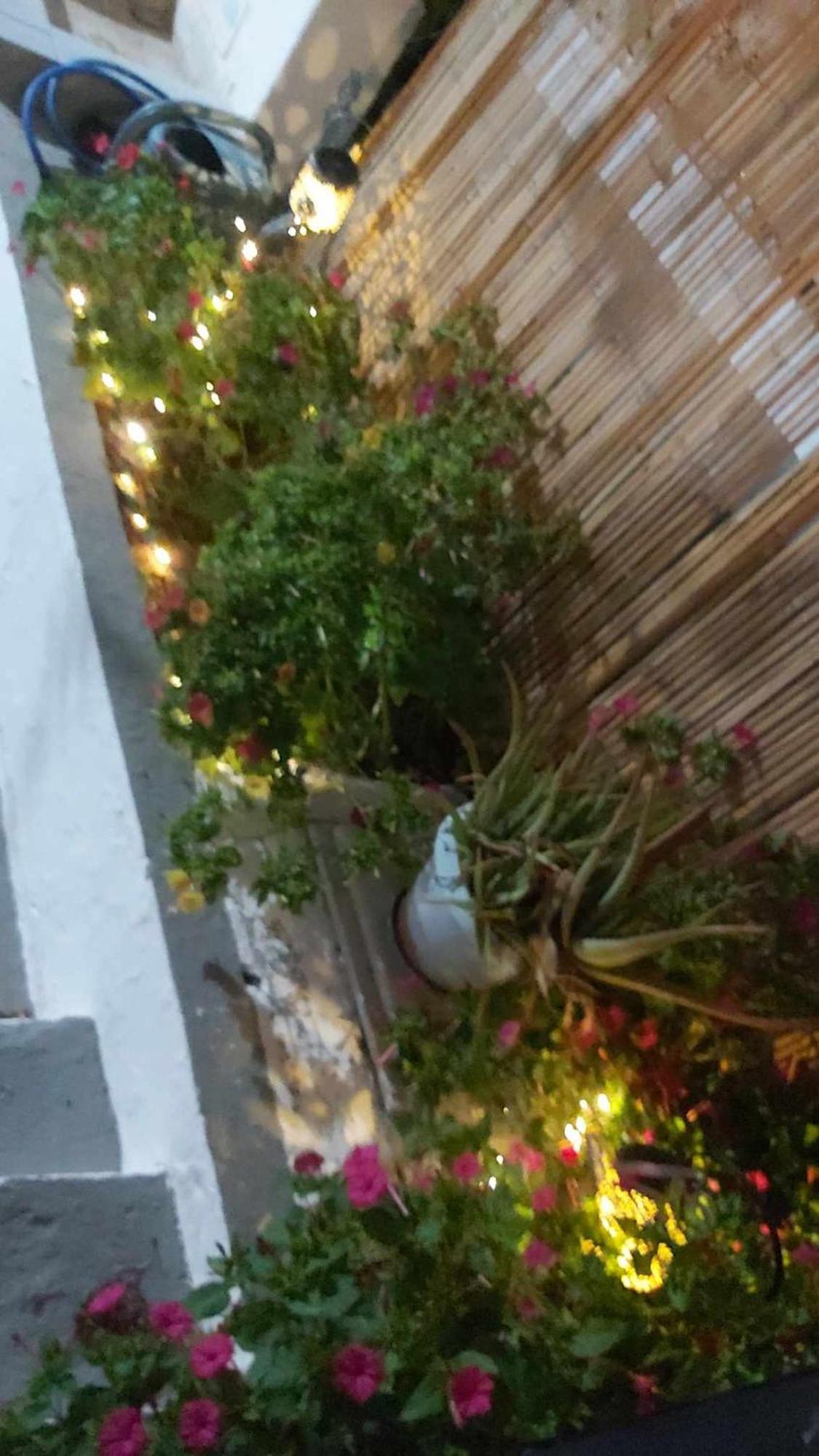 Kostas Studios Apartments - Ενοικιαζόμενα Δωμάτια Με Κουζινάκι ミリナ エクステリア 写真