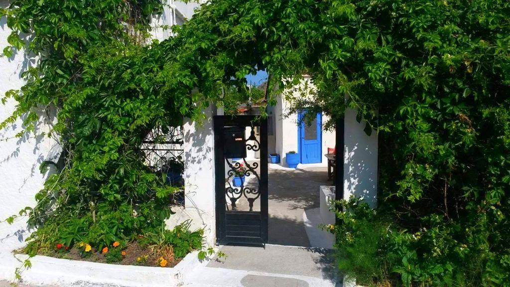 Kostas Studios Apartments - Ενοικιαζόμενα Δωμάτια Με Κουζινάκι ミリナ エクステリア 写真